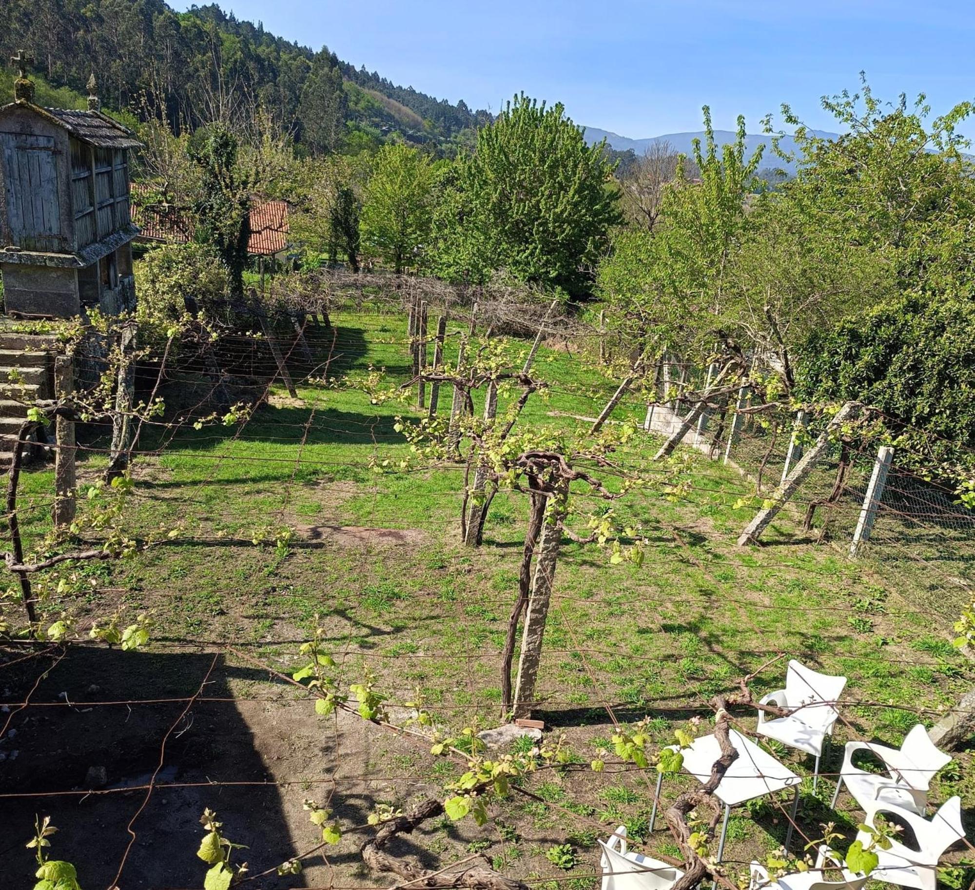 Pension Rural Para Peregrinos "Areal" Padron Exterior photo